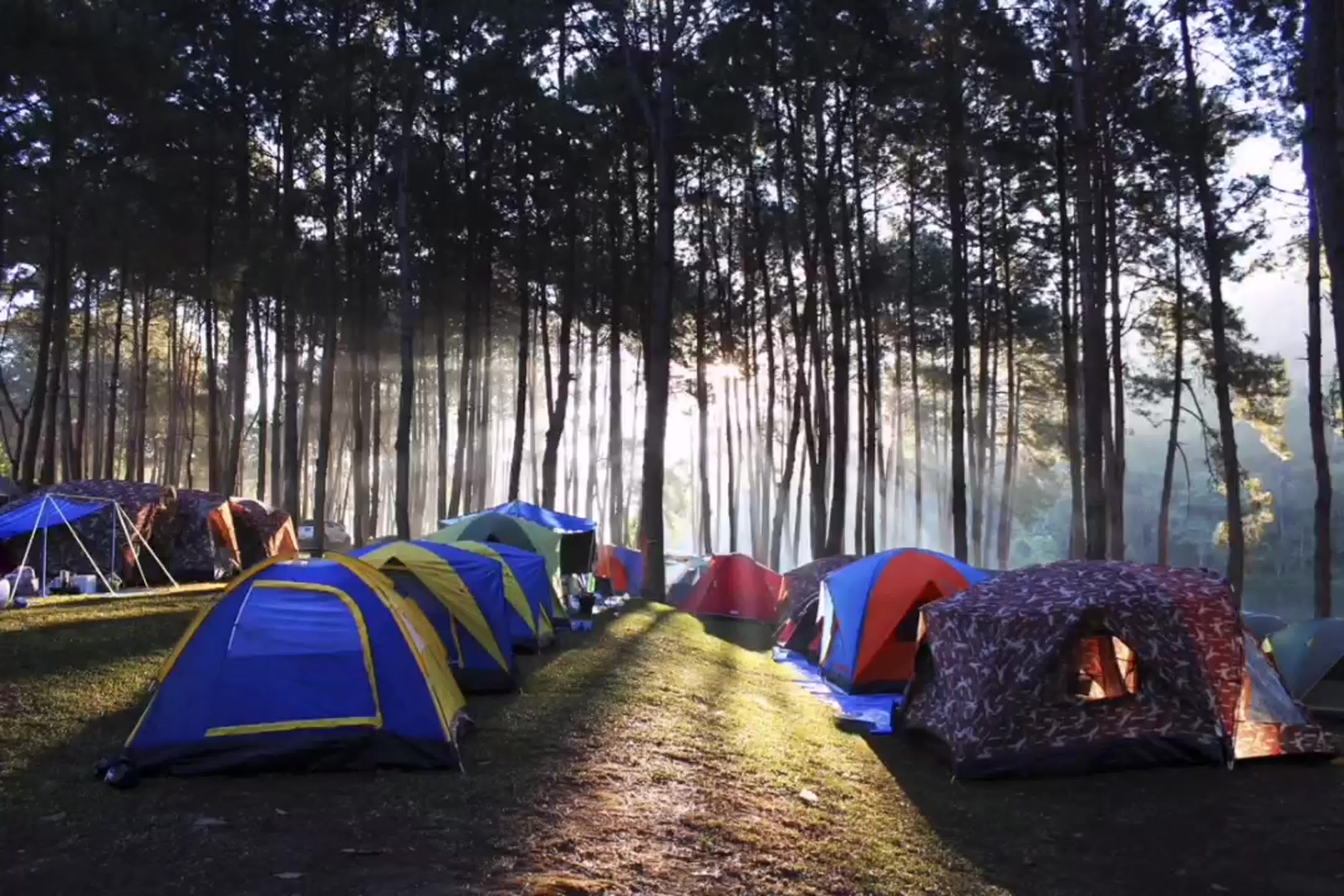 Где можно отдохнуть на праздниках. Палаточный кемпинг Айская Долина. Кемпинг Караидель палаточный лагерь. Палаточный кемпинг Истра. Палаточный лагерь Camp 2050.